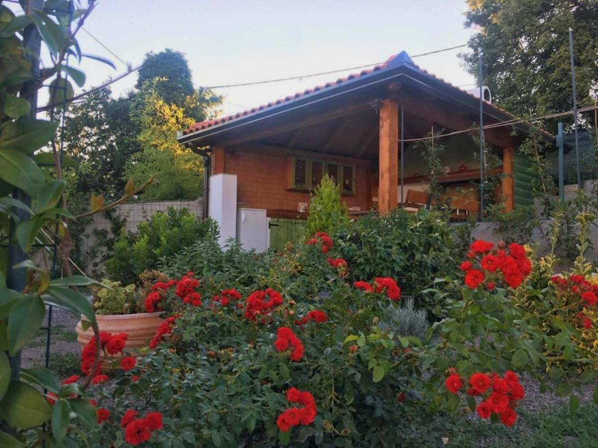 Apartment Katarina Rijeka Zewnętrze zdjęcie